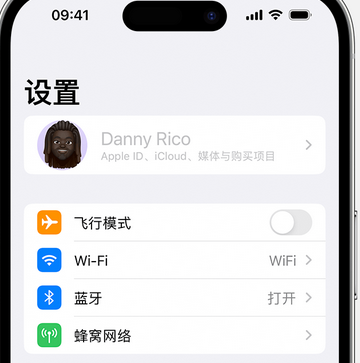 武功appleID维修服务iPhone设置中Apple ID显示为灰色无法使用 