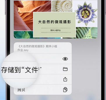 武功apple维修中心分享iPhone文件应用中存储和找到下载文件