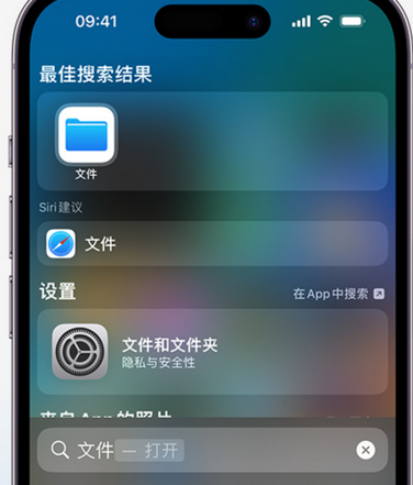 武功apple维修中心分享iPhone文件应用中存储和找到下载文件 