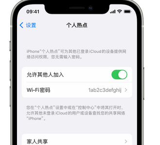 武功apple服务站点分享iPhone上个人热点丢失了怎么办 