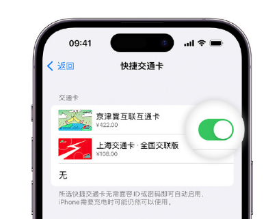 武功apple维修点分享iPhone上更换Apple Pay快捷交通卡手绘卡面 