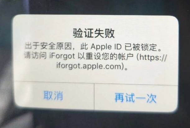 武功iPhone维修分享iPhone上正常登录或使用AppleID怎么办 