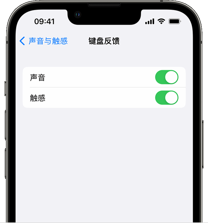 武功苹果14维修店分享如何在 iPhone 14 机型中使用触感键盘 