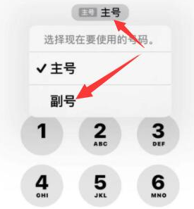 武功苹果14维修店分享iPhone 14 Pro Max使用副卡打电话的方法 