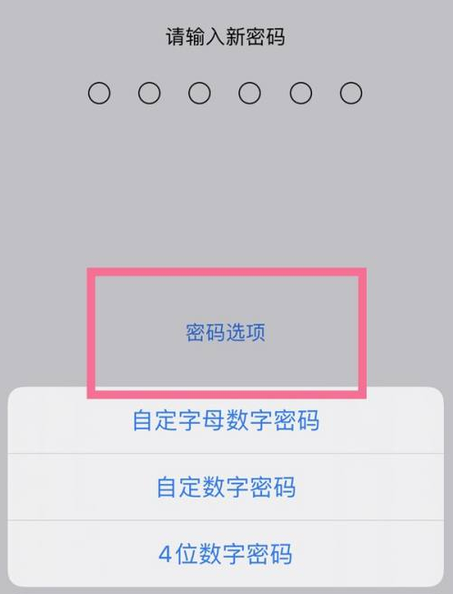 武功苹果14维修分享iPhone 14plus设置密码的方法 