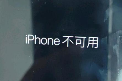 武功苹果服务网点分享锁屏界面显示“iPhone 不可用”如何解决 