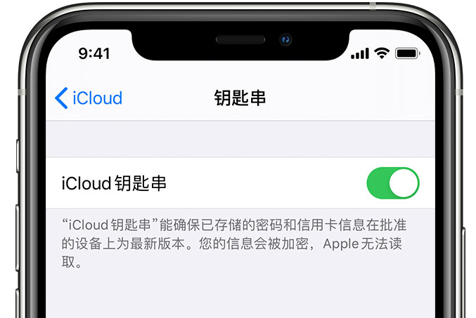 武功苹果手机维修分享在 iPhone 上开启 iCloud 钥匙串之后会储存哪些信息 