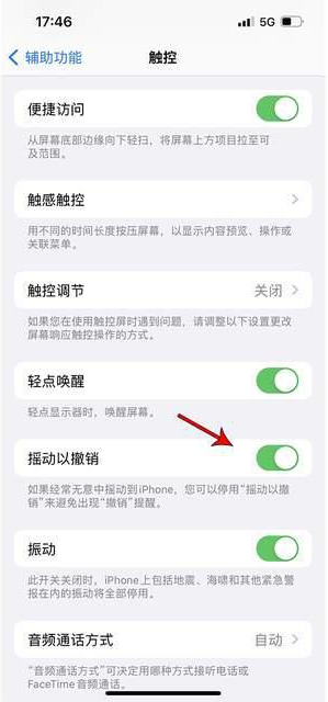 武功苹果手机维修分享iPhone手机如何设置摇一摇删除文字 