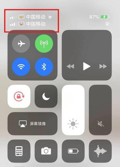 武功苹果手机维修分享为 iPhone 12 双卡设置标签 